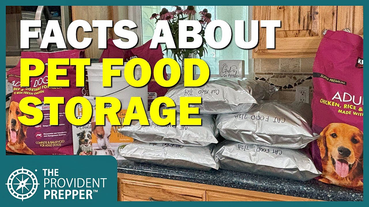 Tips for Extending the Shelf Life of Dry Dog and Cat Food