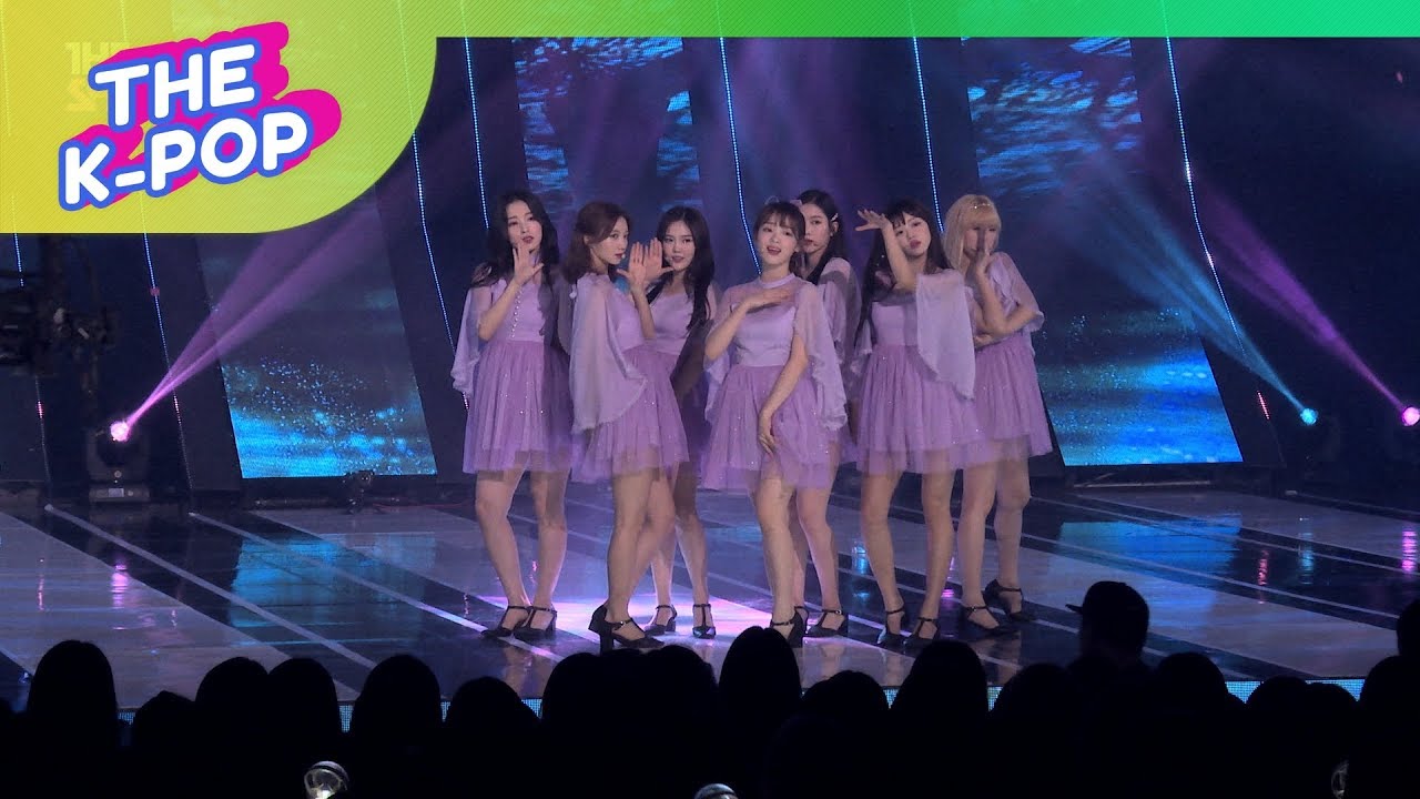 OH MY GIRL, The fifth season(SSFWL) [THE SHOW, Fancam, 190528] 60P