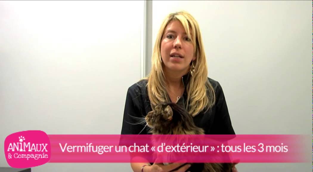 Comment vermifuger votre chat ?