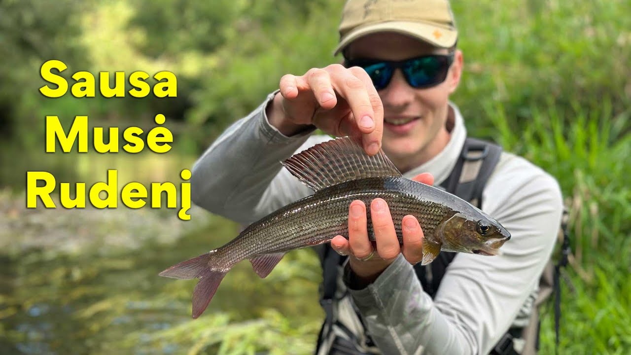 Sausa Musė Rudenį | FlyToTie