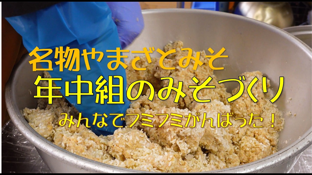 恒例”やまざとみそ”づくり　#北明やまざと幼稚園　#みそづくり　#食育