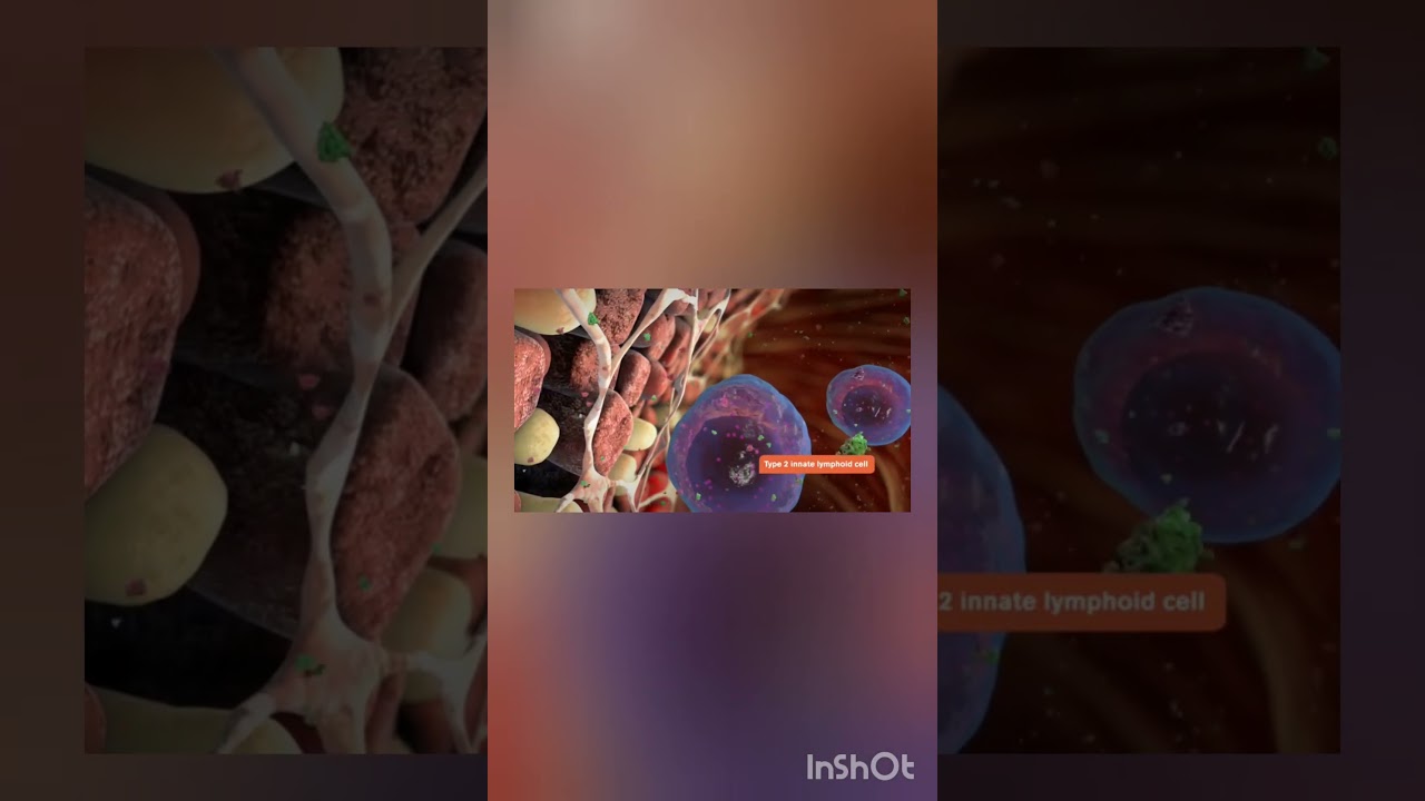 Asthma Explained 🌬️ |introduction , physiology, Causes and  Symptoms You Must Know!