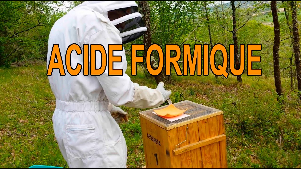 Traitement à l'acide formique pour une ruche et pose d'une hausse pour une autre