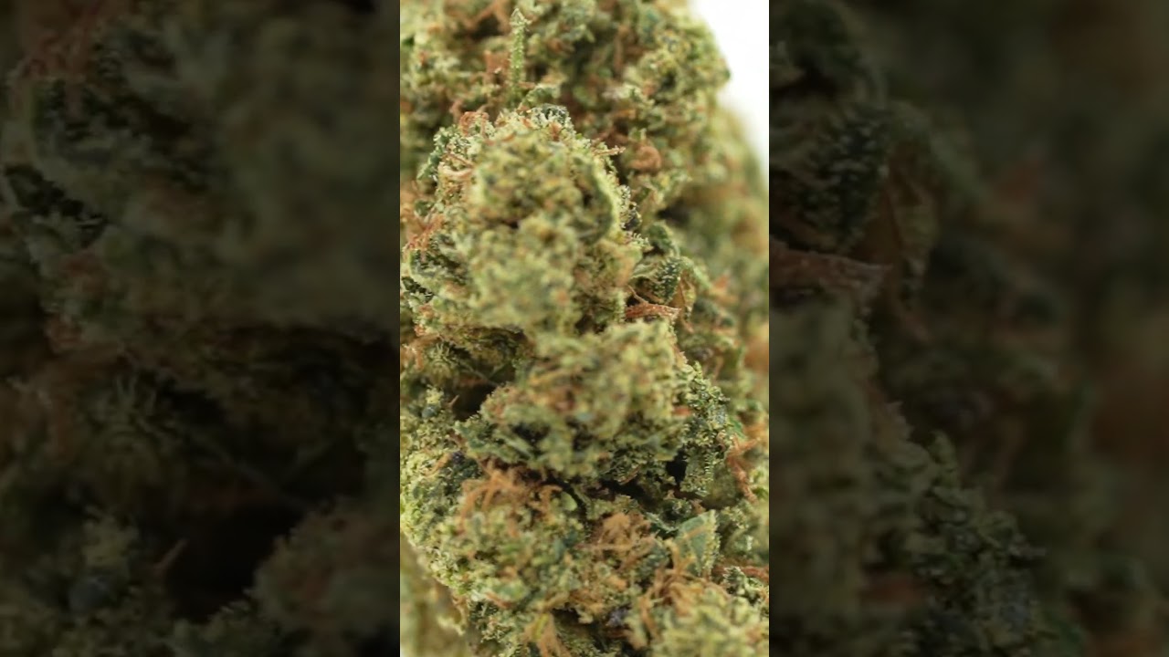 Lemon Cookie Dough - Originals CBD #cbd #herbalmedicine #hempflower #cbdflower