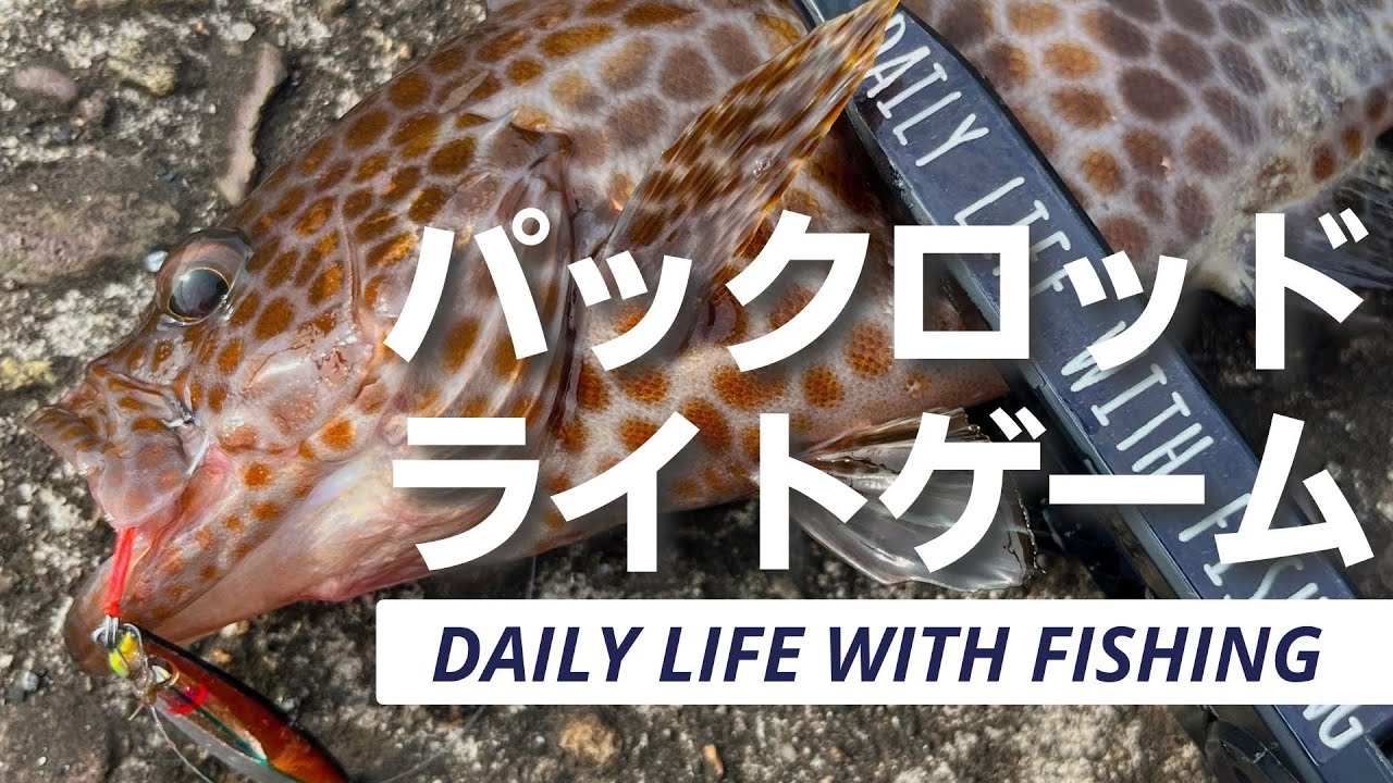 朝の漁港でライトゲーム。パックロッドでお気に入りルアーを投げ続けると…【釣行】