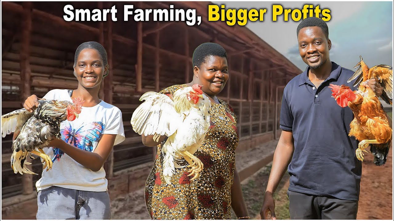 How Local Chicken Farming Changed This Family's Life