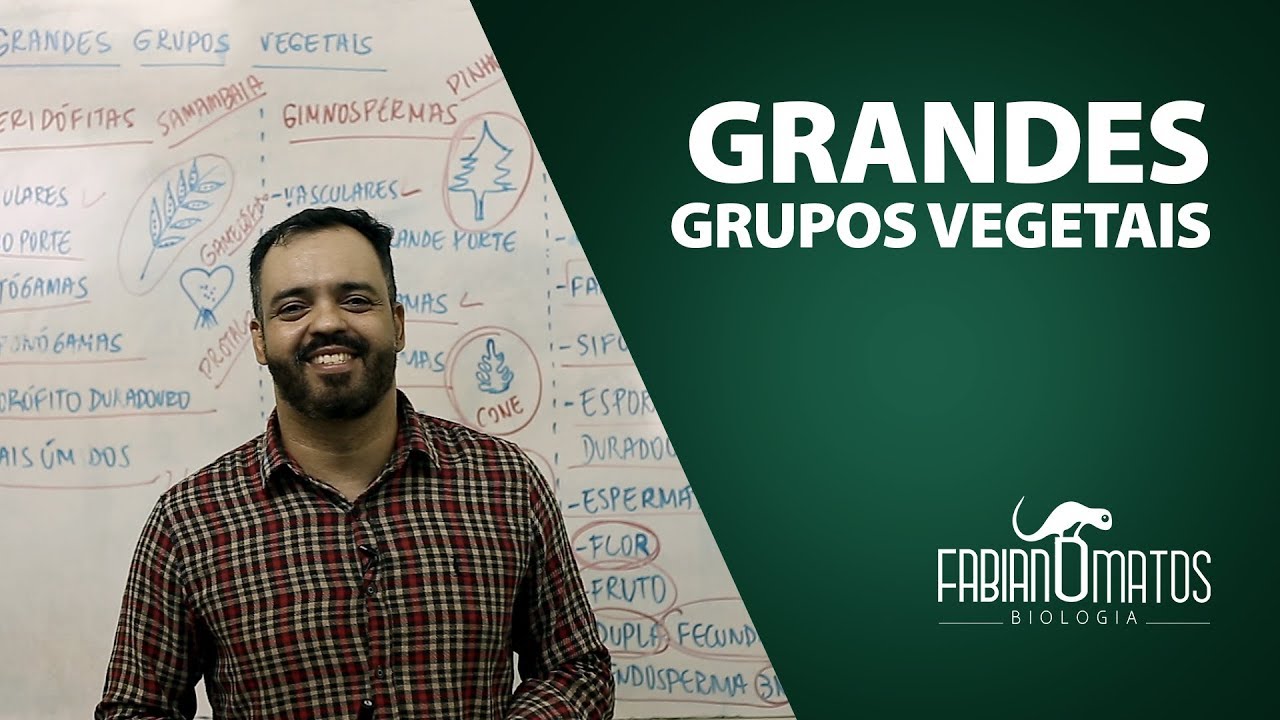 Grandes grupos vegetais - Fabiano Matos
