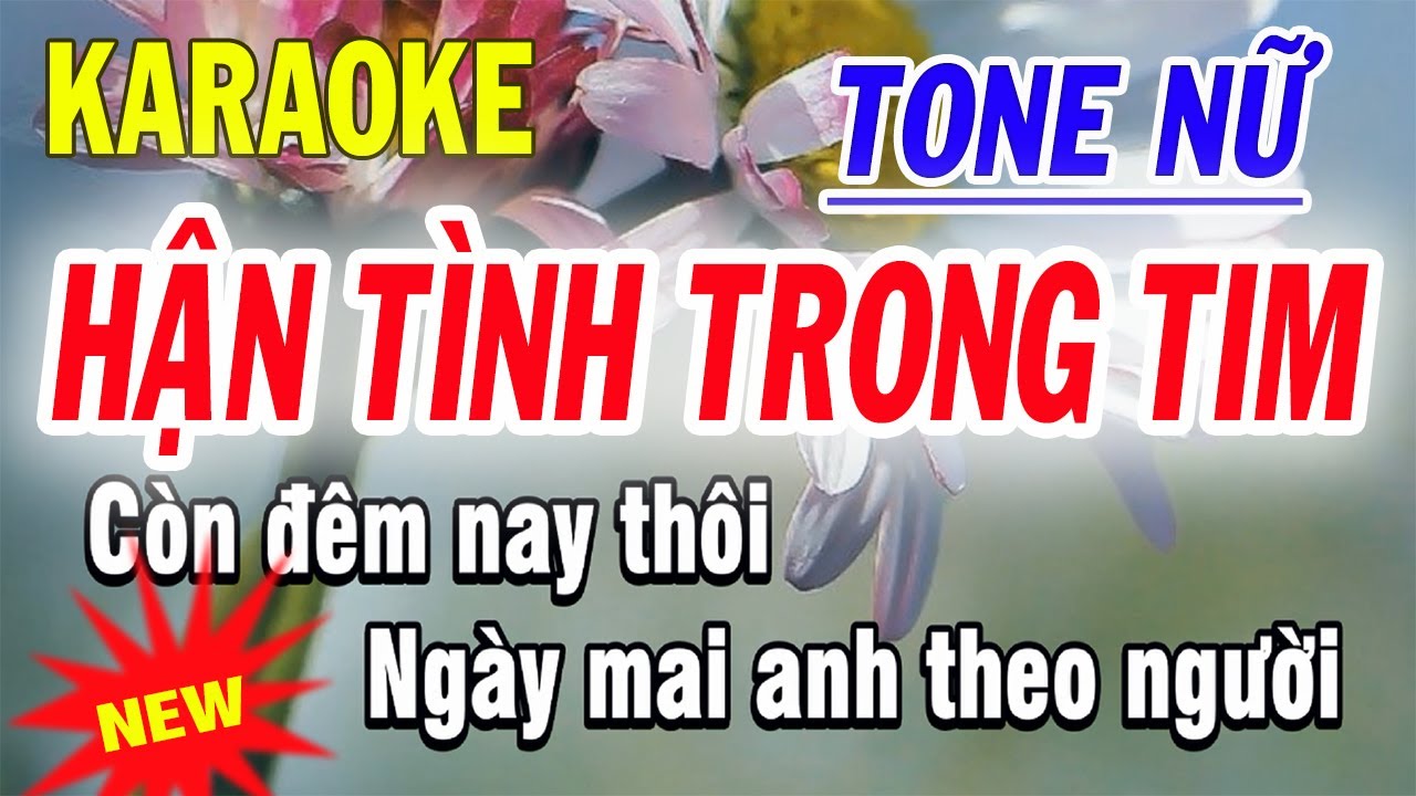 Hận Tình Trong Tim Karaoke - Tone Nữ - ST Phan Bá Trương - Beat Dễ Hát