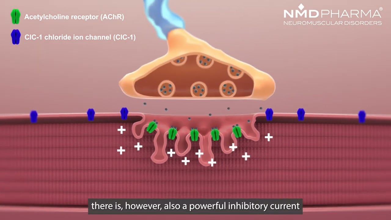 NMD Pharma Publishes Comprehensive Data Package for NMD670 in Science Translational Medicine