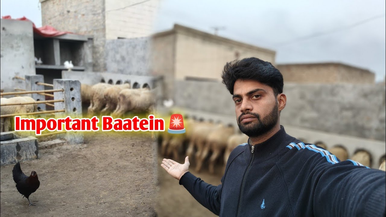 Kuch Bohot Important Baatein 🚨