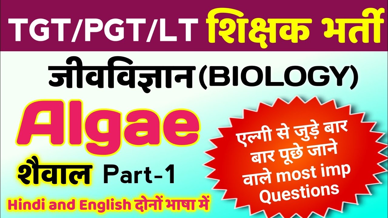 Algae related TGT PGT MCQ | tgt pgt biology classes | tgt pgt biology practice set | tgt pgt bio