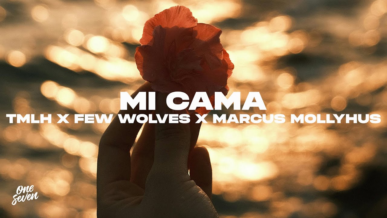 TOOMANYLEFTHANDS x Few Wolves x Marcus Mollyhus - Mi Cama