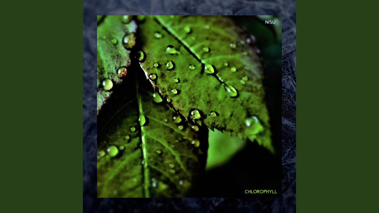 Chlorophyll