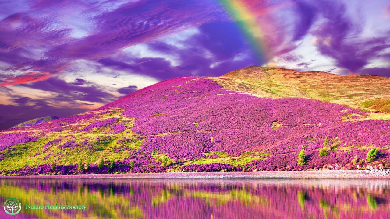 Powerful Morning Music 🌞 Relaxing Meditation Music For Stress Relief 528Hz