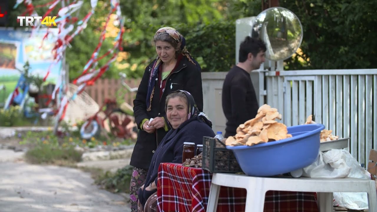 SEMTLER VE SURETLER - POLONEZKÖY