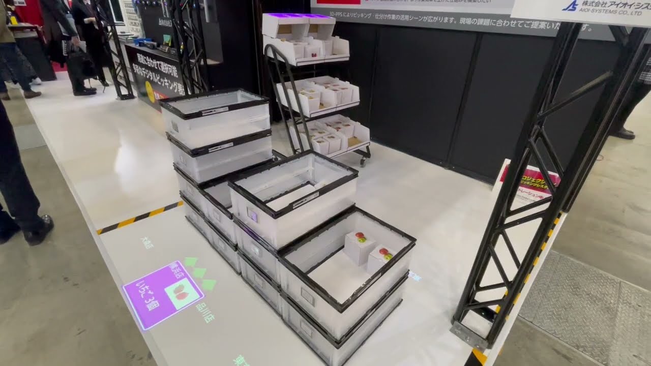 3-D Projection Picking System (PPS)