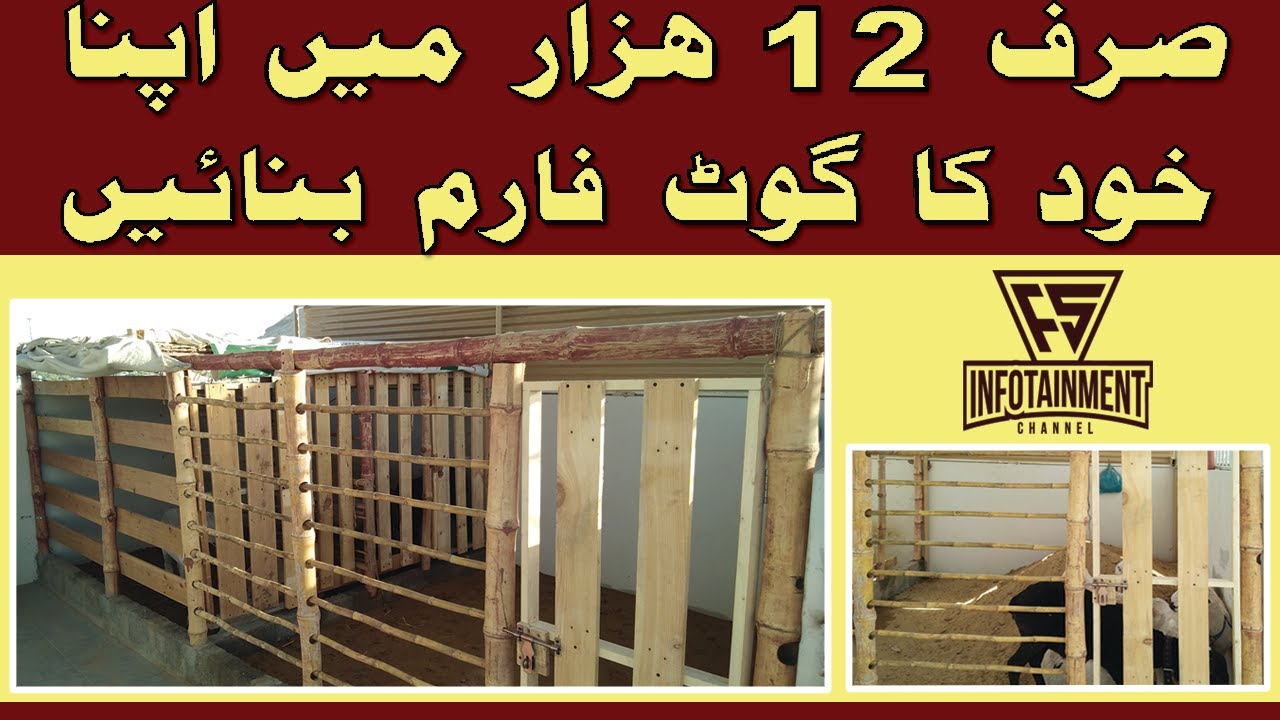 Rooftop Goat and Sheep Farm | How To Make Goat & Sheep Farm on Roof | Shelter for Goat Farming