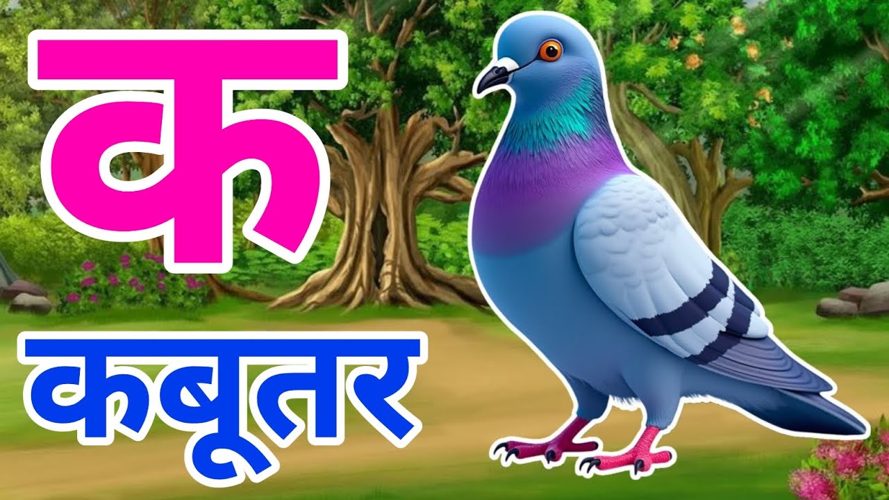 क से कबूतर, अ से अनार a se anaar k se kabutar I Hindi varnmala I ABCD क से कबूतर अ से अनार, for kids