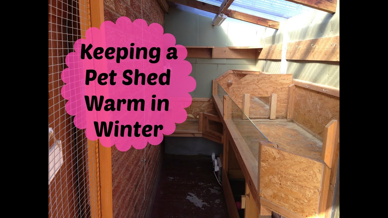 Keeping a Pet Shed Warm in the Winter *2015*