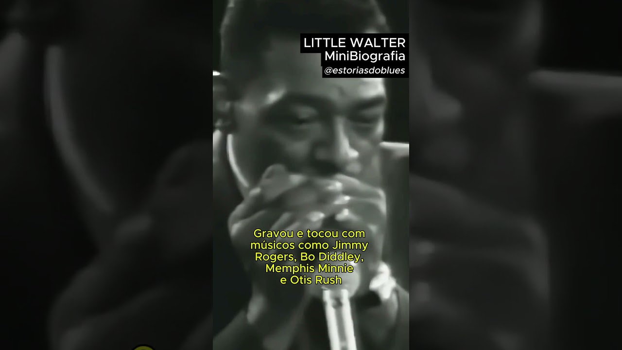 Little Walter - Minibiografia 