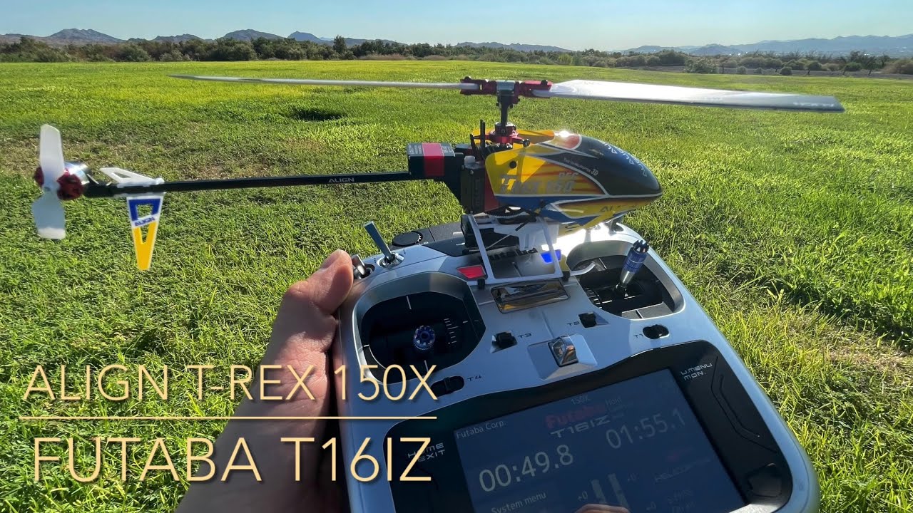 ALIGN T-Rex 150X Vs DragonFly!