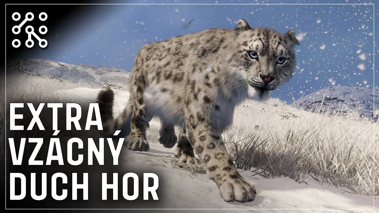 LOV LEVHARTA🐯SUNDARPATAN | theHunter: Call of the wild CZ |  Česky