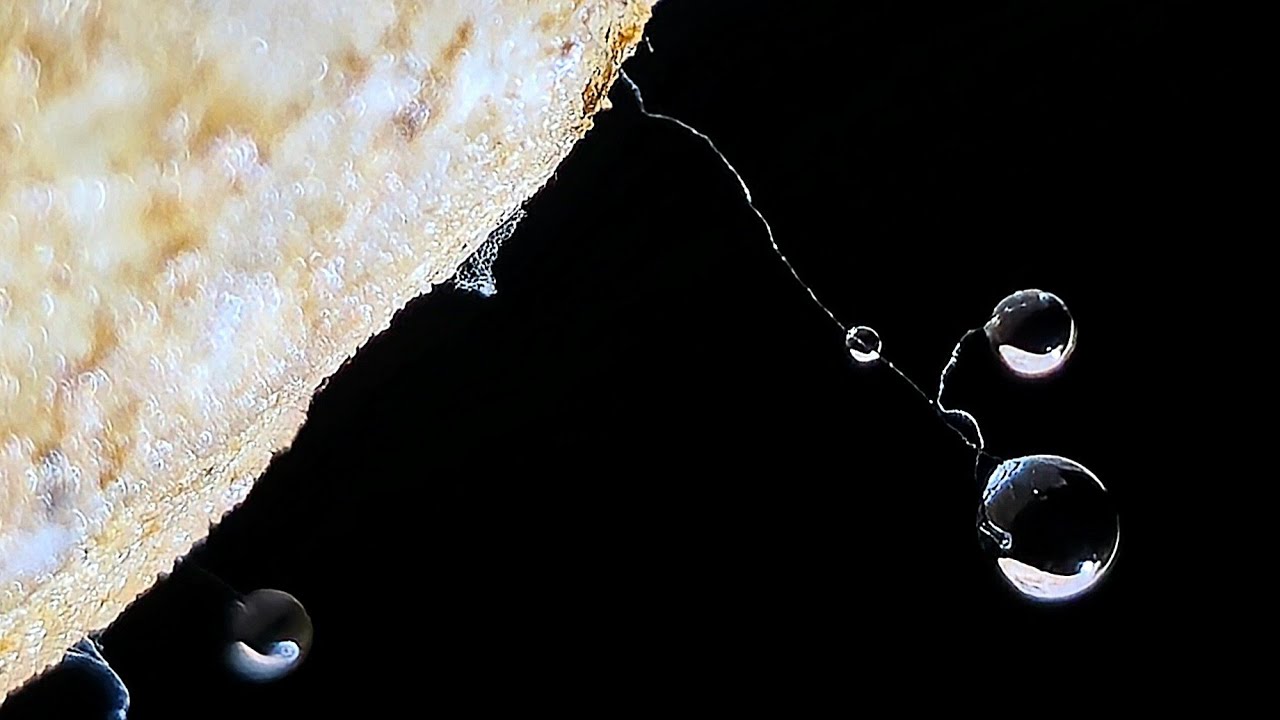 Grotte Coraluna et Grotte de l'Emetteur - Aude