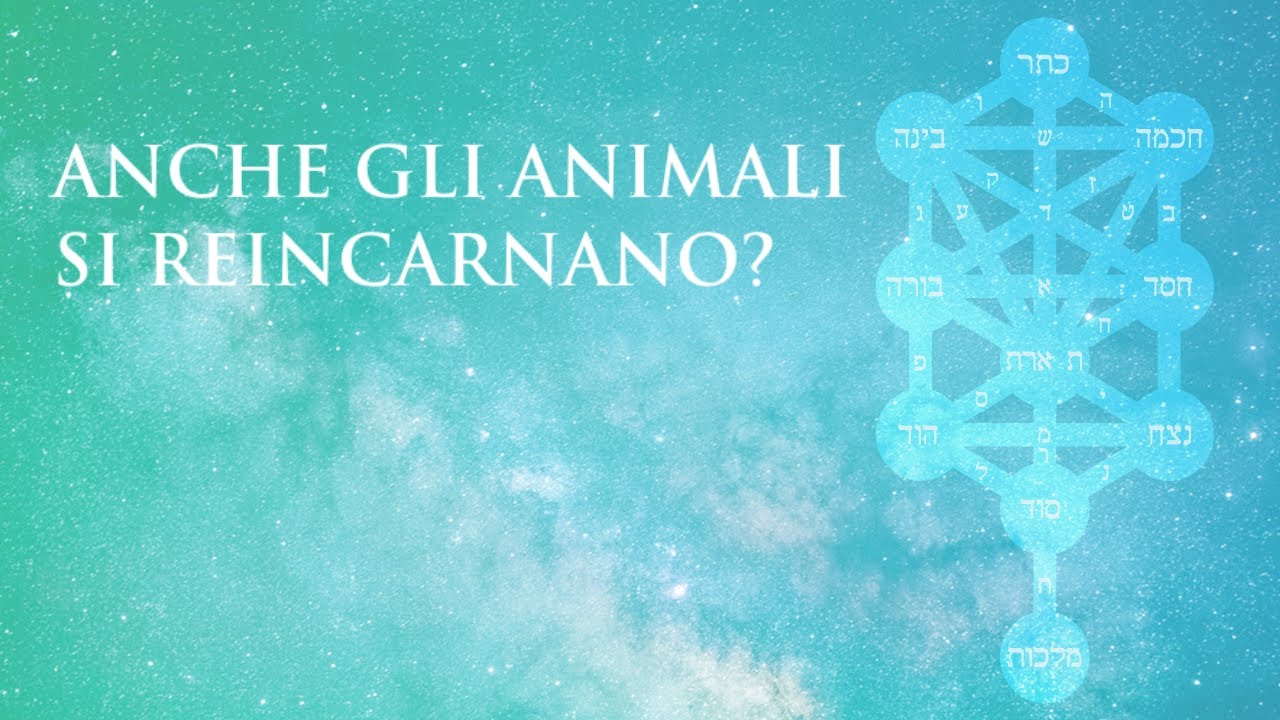 La reincarnazione degli animali