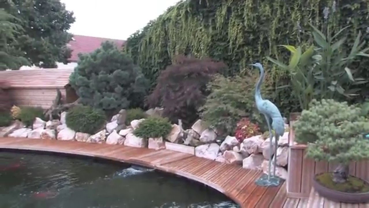 Le bassin à koi de Jean Luc