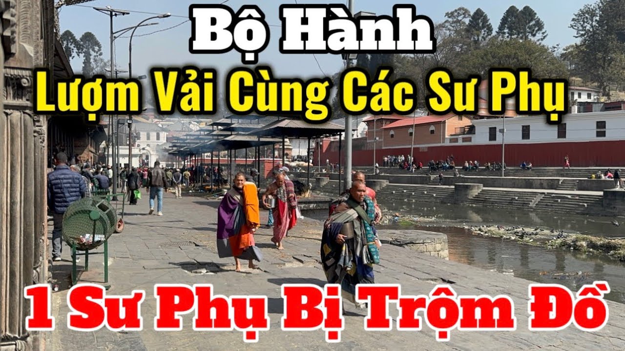 1 Sư Phụ Bị Trộm Lấy Đồ | Bộ Hành Cùng Các Sư Phụ Đi Lượm Vải Đầu Tháng 3 #suminhtue #thienchiukho 