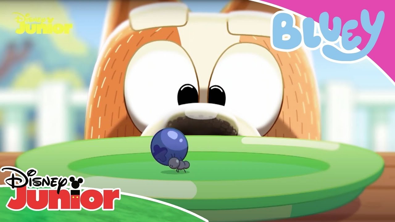 Bluey | Bingo