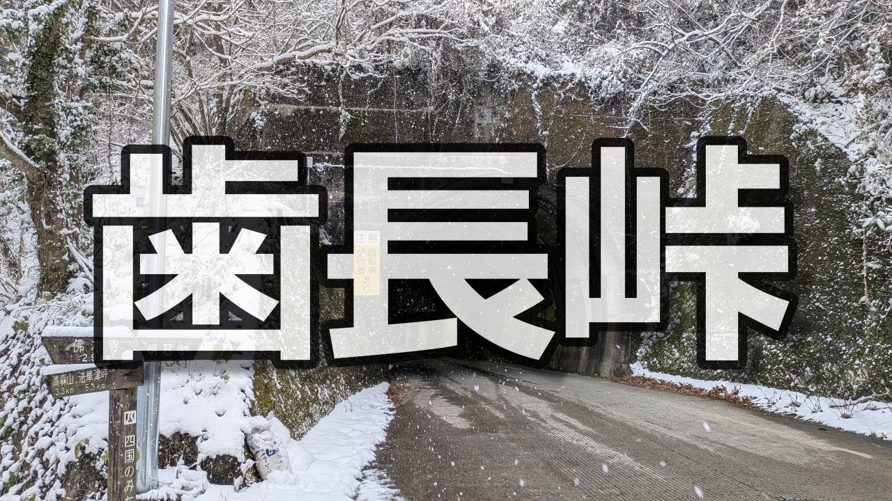歯長峠 県道31号宇和三間線 2026年1月2日 愛媛県西予市