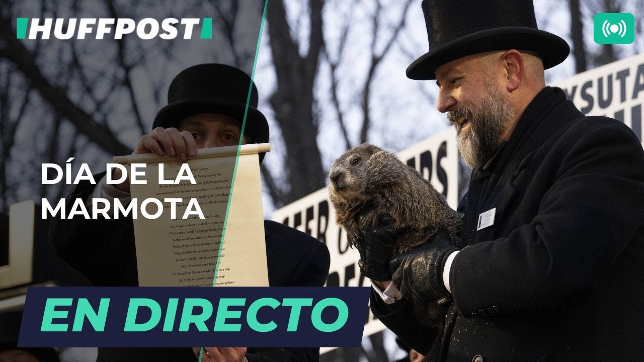 DIRECTO | DÍA DE LA MARMOTA: la marmota Phil predice cuánto durará el invierno | El HuffPost