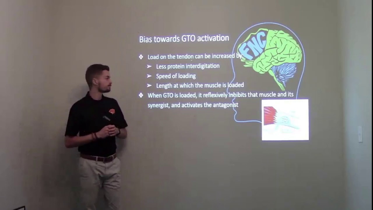 Adjusting & Reflexes