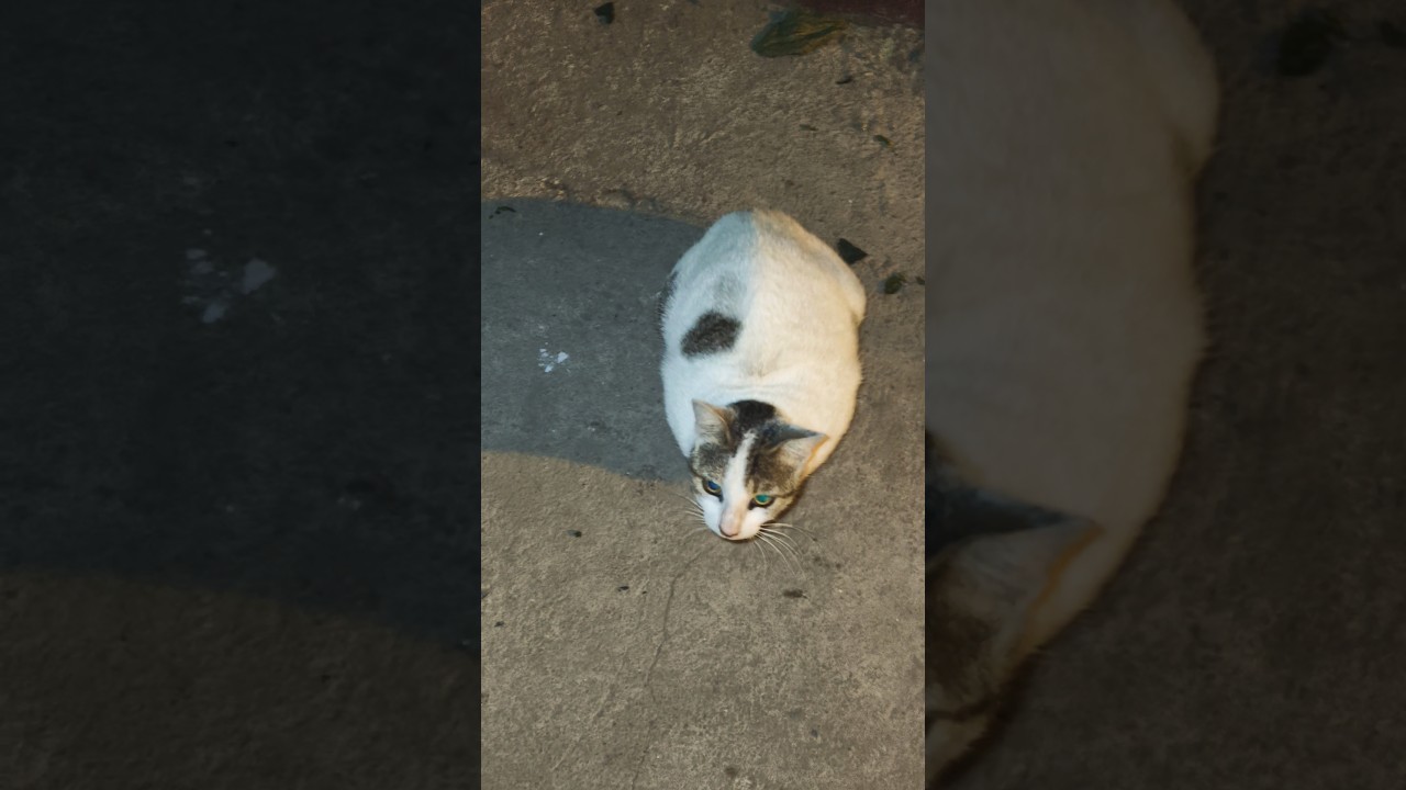 10 বছর আগে ছেড়ে চলে গেছো