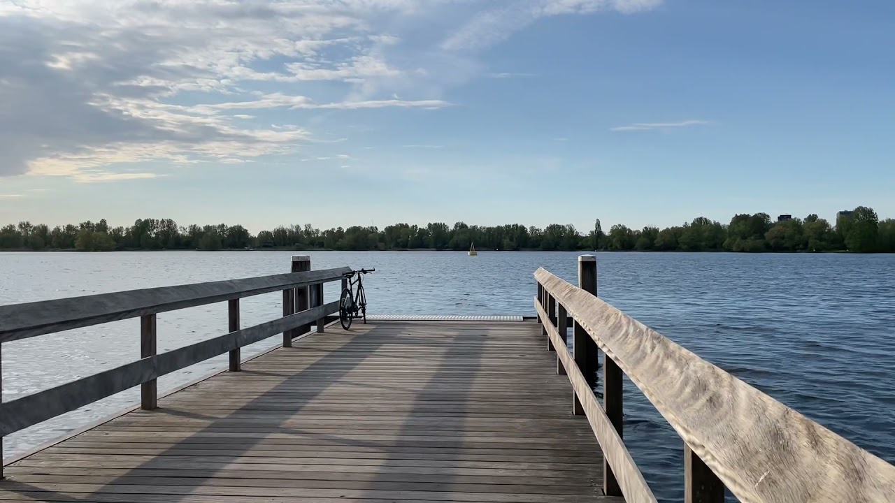 Het Amsterdamse Bos