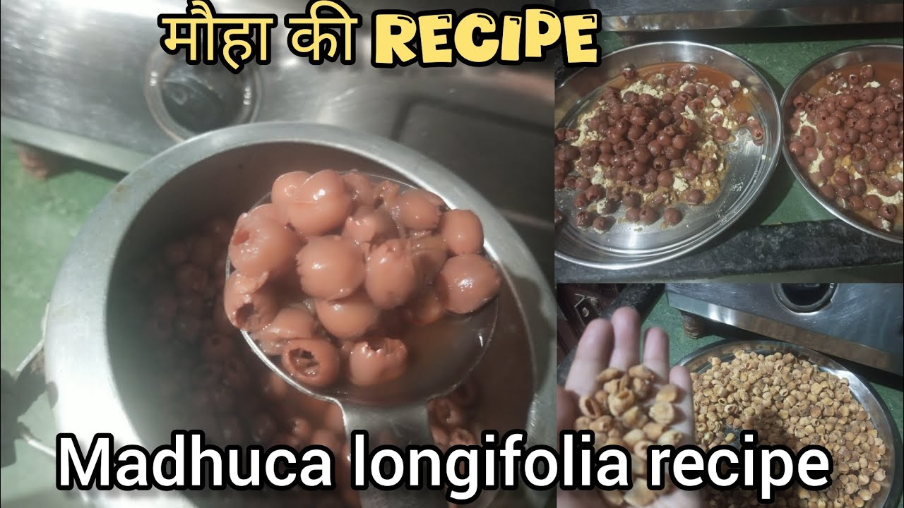 आज बनाई पुरानी रेसिपे#mauha ki दुभरी | khake आज मजा आ गया