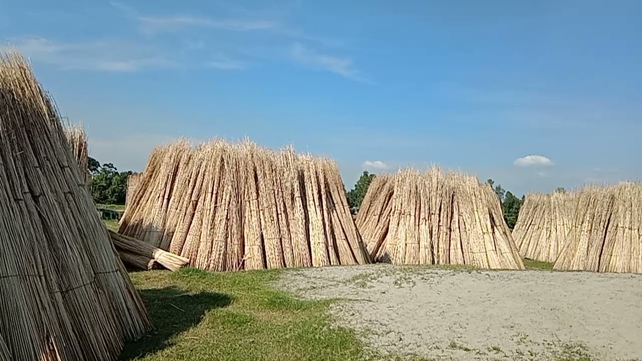 Jute Stick Charcoal Factory- at a glance. Quasem Traders, Narsingdi.