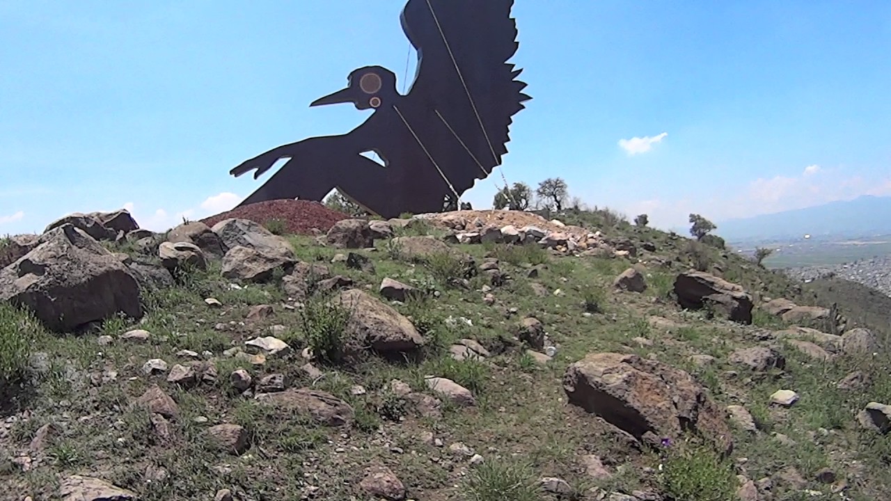 Cerro del Elefante.  Su defensa jurídica