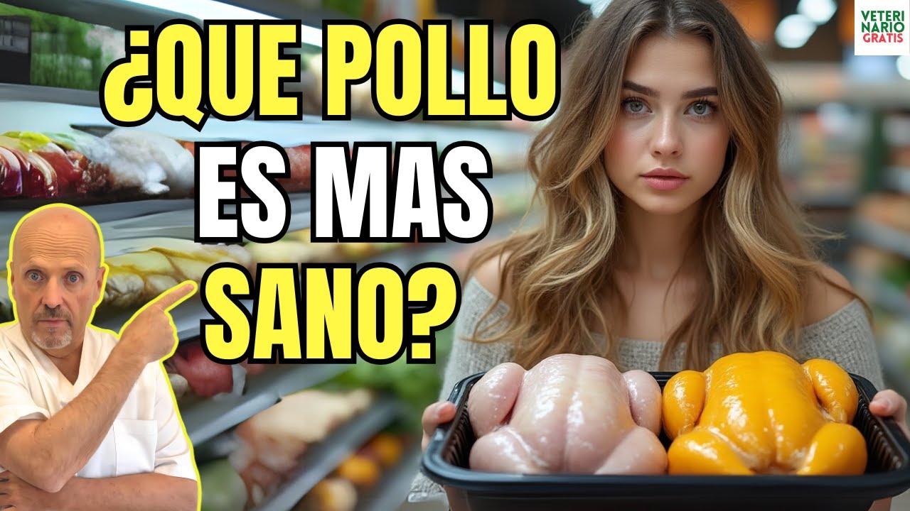 😱 POLLO AMARILLO O BLANCO ¿CUAL ES MEJOR? 😱