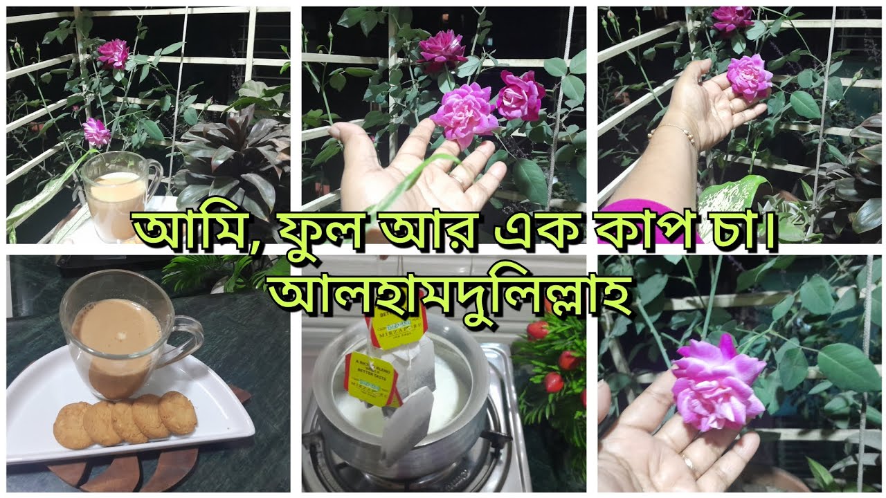সুন্দর একটা রাতের গল্প। হাতে চা গাছে ফুল পাশে আমি আলহামদুলিল্লাহ।#plz_subscribe 