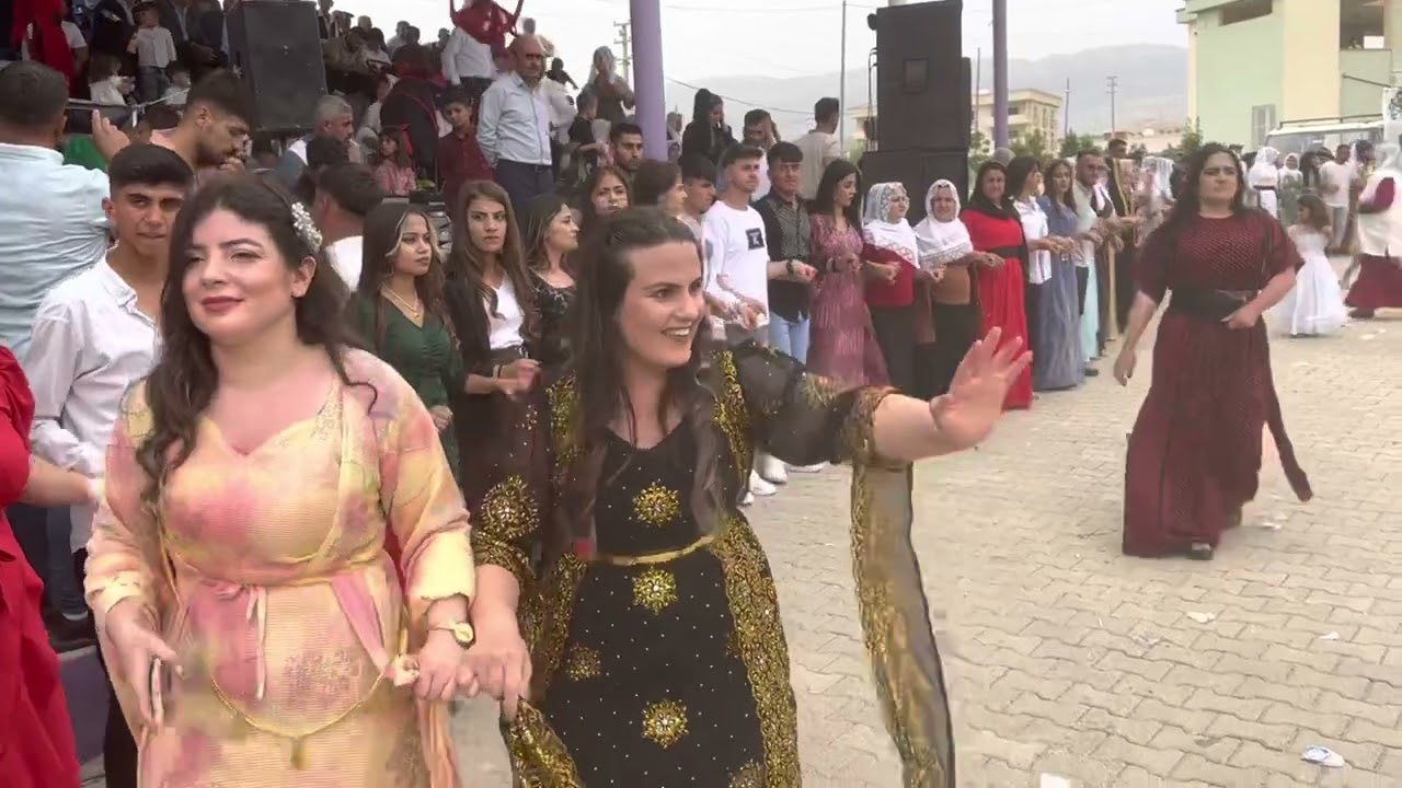 Sorbitmi Aşiret düğünü Tanrıverdi Ailesi ( Grup Nihat Silopi Ekibi ) new 2023