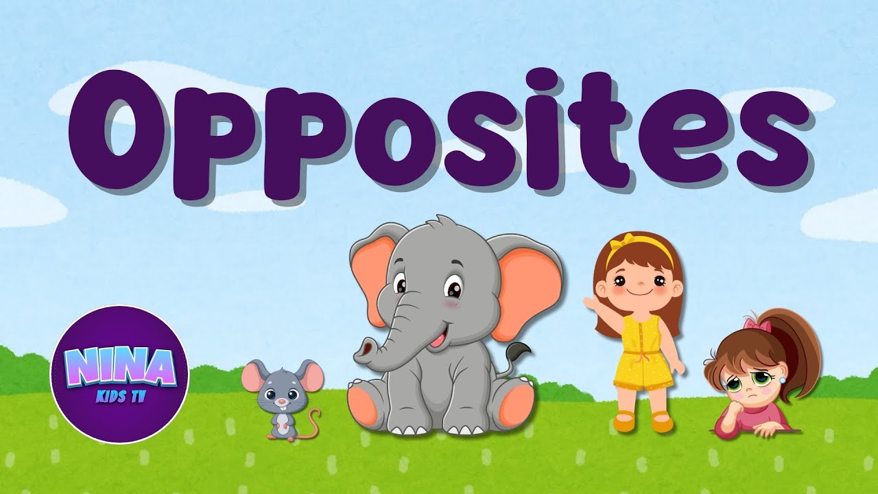 Opposites | Preschool Learning | Nina Kids TV