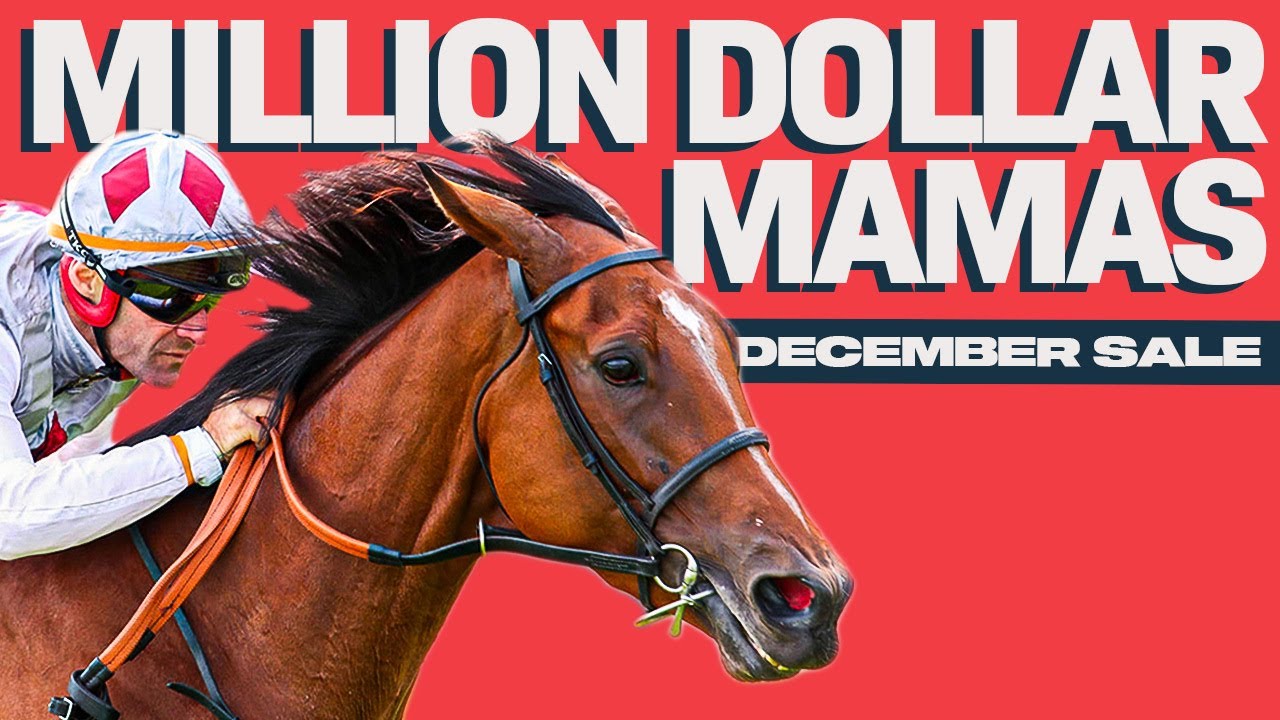 Million Dollar Mares!