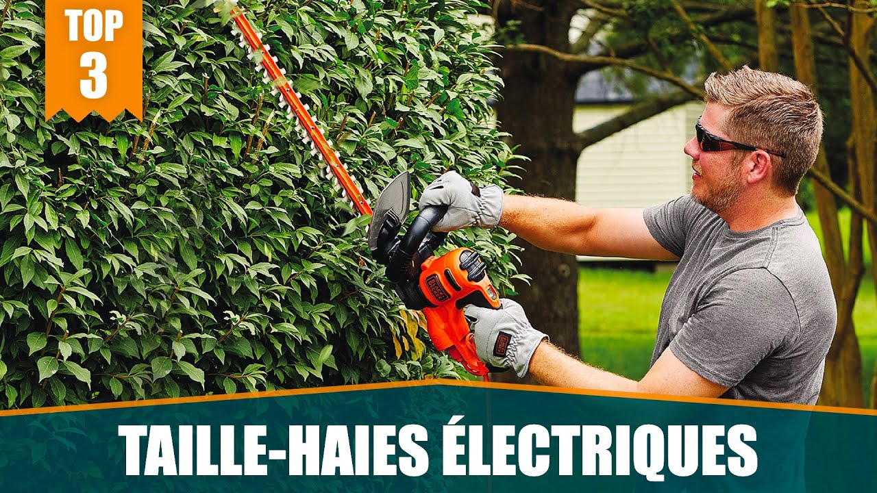 LES MEILLEURS TAILLE-HAIES &Eacute;LECTRIQUES - COMPARATIF