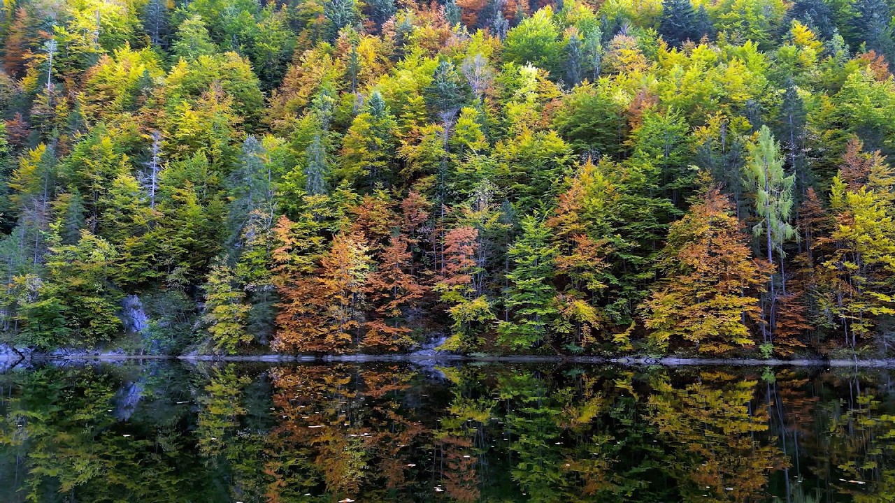 Calming Piano Music for Deep Relaxation 🎹 Stress Relief & Inner Peace