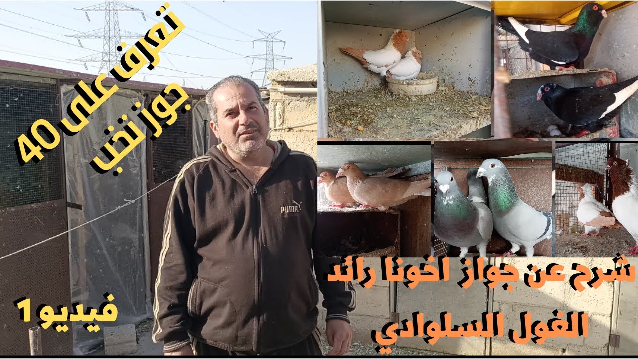 زيارة عند الاخ رائد الغول(السلوادي)شرح عن جواز الزق وتركيبات جواز الزق
