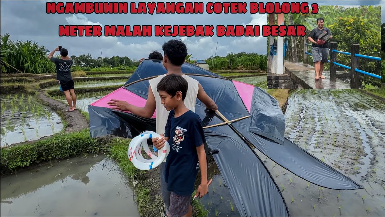 EDISI COTEK NGAMBUN DITERJANG BADAI BESAR🥶