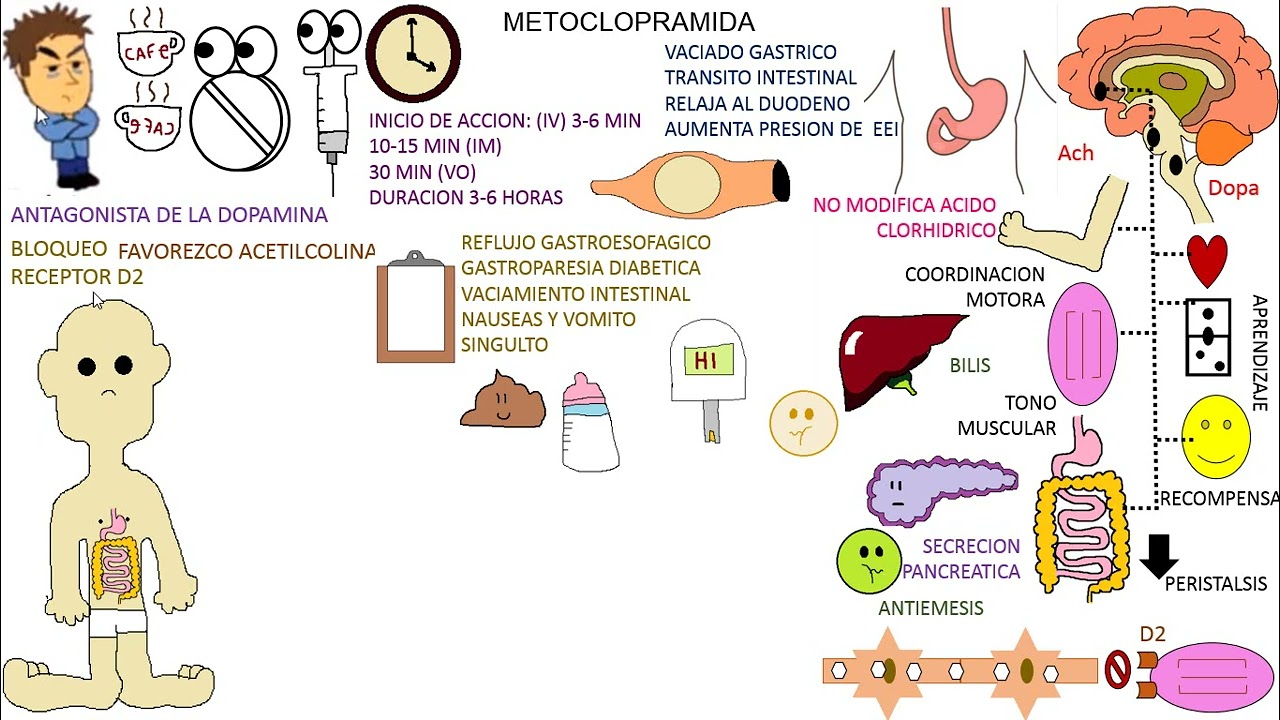 Farmacología: METOCLOPRAMIDA