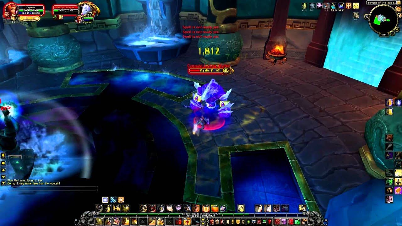 Wise Mari Solo (Beta) (Protection Paladin)